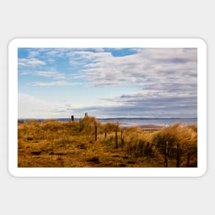 Druridge Bay Sand Dunes Sticker